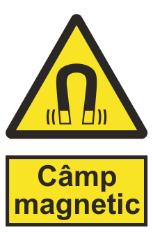 Câmp magnetic — semn cod 343