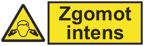 Zgomot intens — semn cod 421