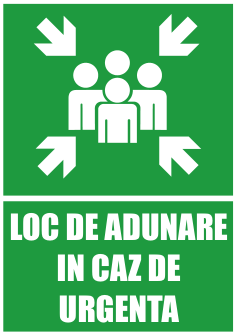 Loc de adunare în caz de urgență — semn cod 535
