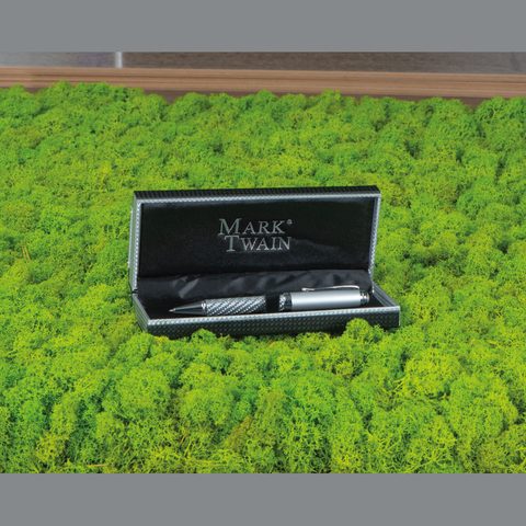 Pix Mark Twain 12